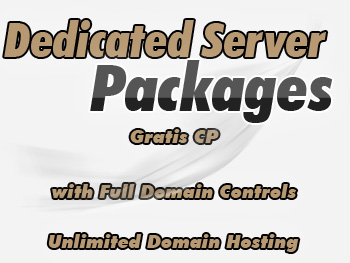 Half-priced dedicated hosting server providers